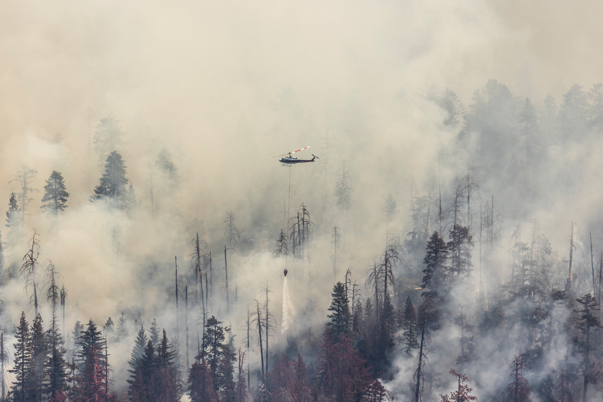 Yosemite National Park.  Image Photo Messages