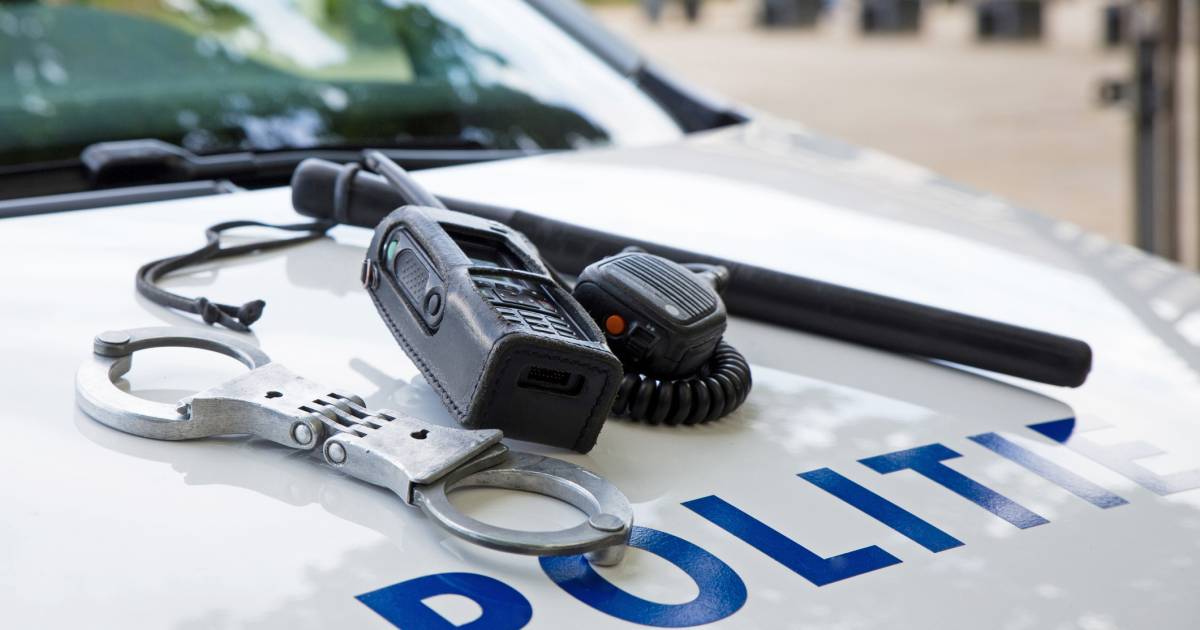 Politie treft wapens aan bij automobilist .