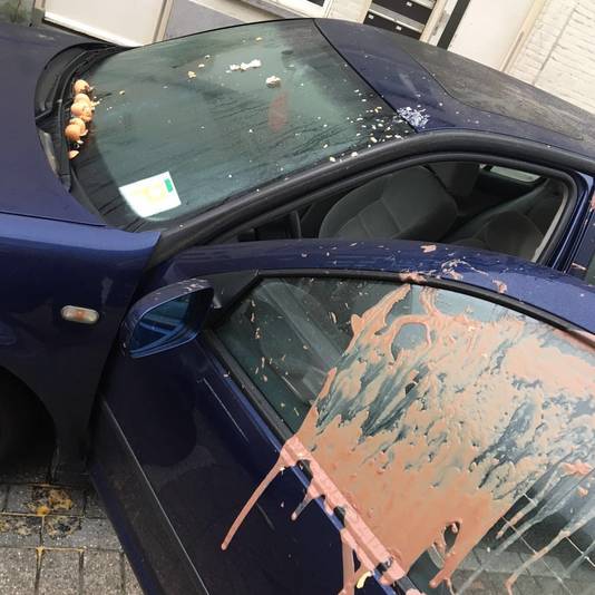 Tube Mosterd En Bloemetje Voor Besmeurde Putsestraat Rotterdam Ad Nl