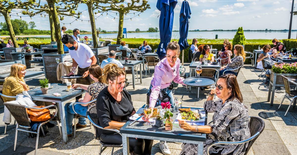 ’t Reeuwijkse Hout: mooie mix van golven, stuifzand, bietenburger en Pavlova