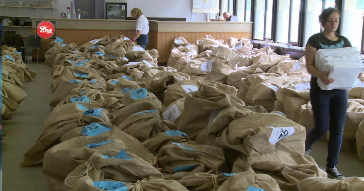 Stemresultaten Gent pas vandaag definitief | Binnenland | hln.be