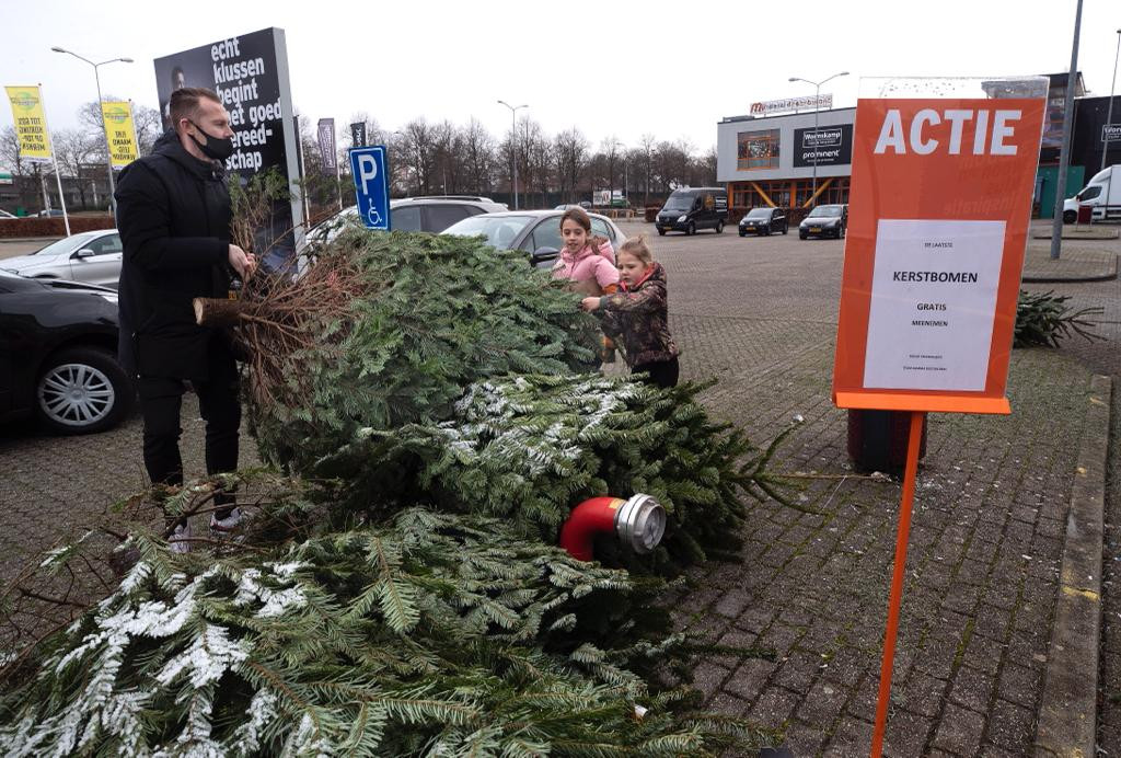 Last minute een gratis kerstboom ophalen in Doetinchem; anders gaan ze