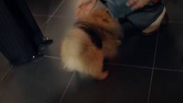 Ian wil samen blijven met Maïté en daar neemt hij Bailey graag bij!