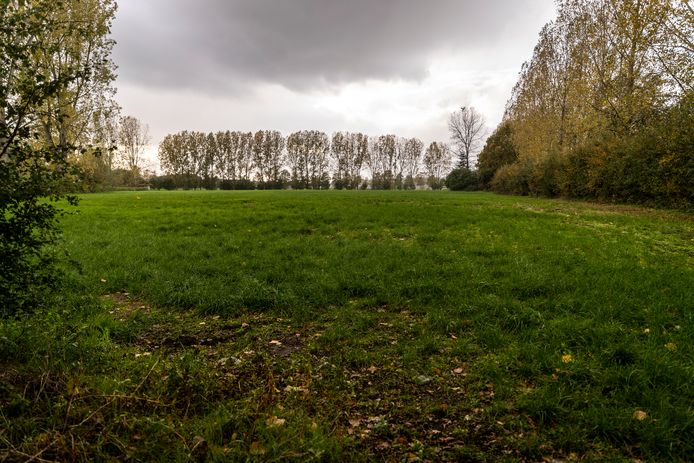 Een deel van het gebied in Stiphout-Zuid waar het bedrijf Solarcentury zonnepanelen wil gaan leggen.