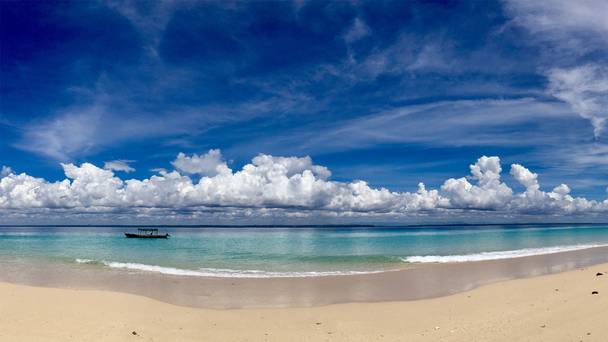 Jane Goodall: Saving Paradise