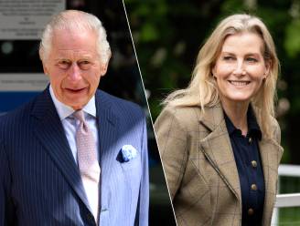 Schoonzus van Charles, ‘de nieuwe Diana’ en favoriete schoondochter van de Queen: wie is Sophie, hertogin van Edinburgh?