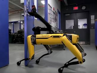 VIDEO: nieuwe robothond kan zelf deuren openen, maar hoe hij beweegt heeft iets griezeligs