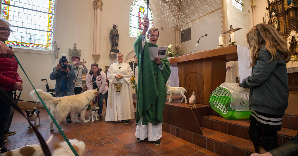 Dieren ontvangen zegen in Ovezande