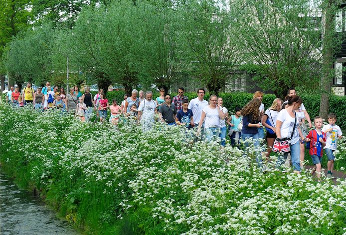 Een eerdere editie van de avondvierdaagse.