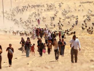 Hoe het gruwelijke verhaal van de Jezidi’s ondersneeuwde in de IS-storm