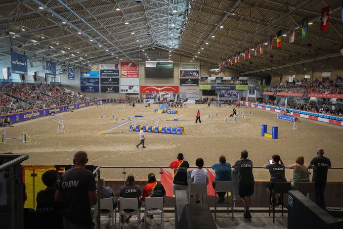 IN BEELD. 700 honden nemen deel aan Europees Kampioenschap Agility in ...