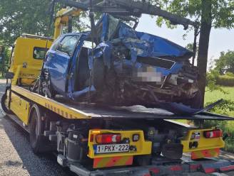 Auto ramt boom op Houtlaan in Wijnegem