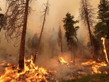 L’“Oak Fire” fait rage en Californie: plus de 6.000 personnes évacuées