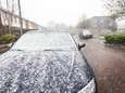 Nederlandse landschap kleurt plaatselijk wit, eerste sneeuwpoppen een feit