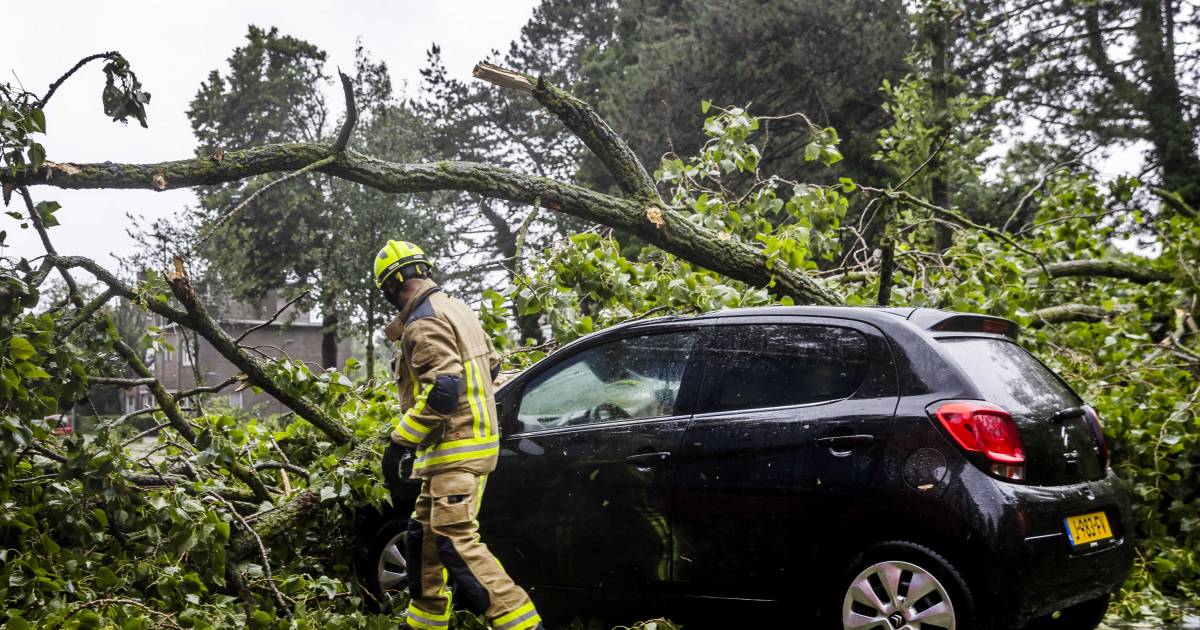 Zo hield storm Poly huis in Nederland