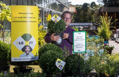 Buxusmot lust ook andere planten dan de buxus