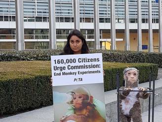 PETA betoogt in Brussel om einde te maken aan experimenten met primaten