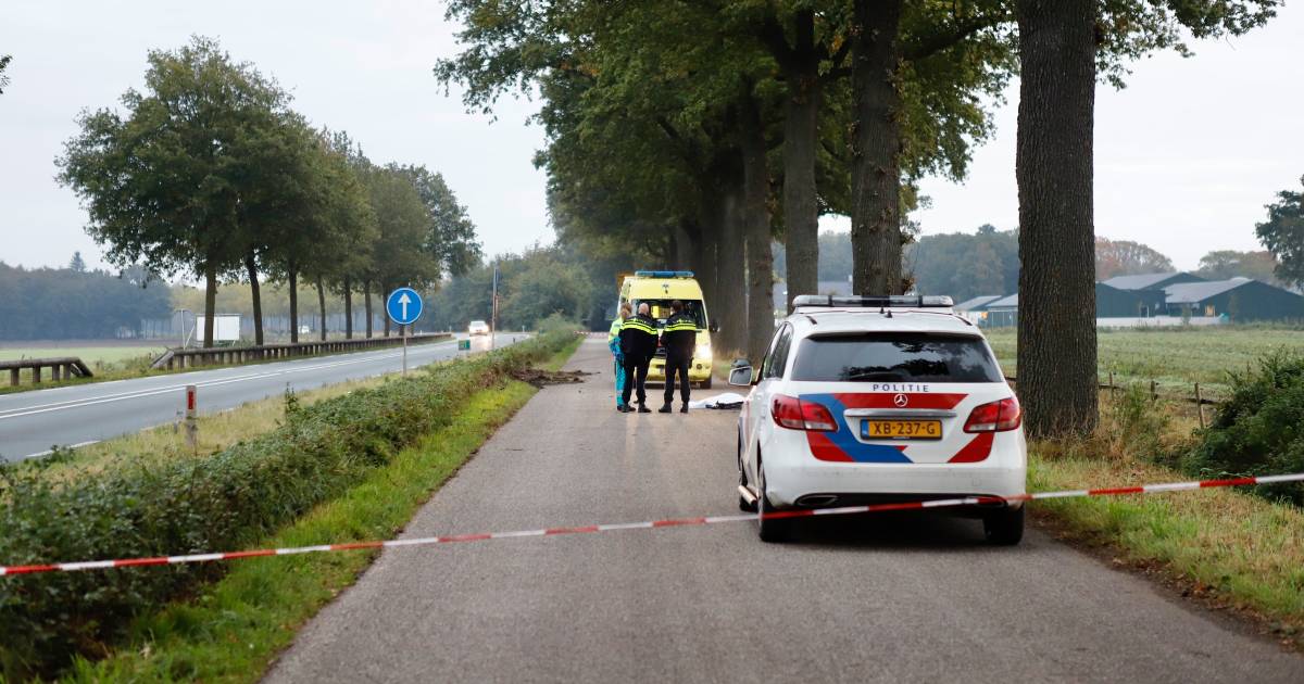 OM eist werkstraf tegen tractorbestuurder voor veroorzaken dodelijk ongeval met fietser (31) - BN De