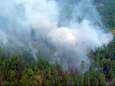 Al meer dan 30.000 vierkante kilometer afgebrand en bosbranden in Siberië breiden zich nog verder uit
