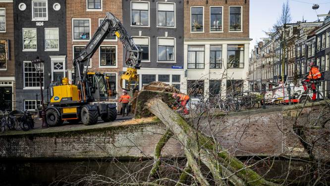LIVE | Einde weerwaarschuwingen voor zware wind in hele land, Schiphol schrapt meer dan 200 vluchten