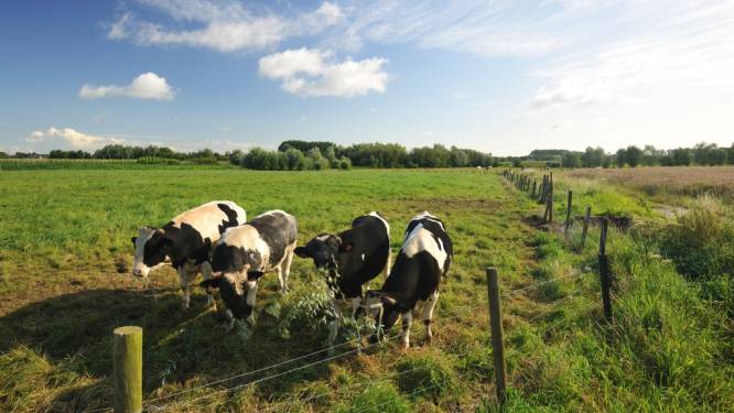 Lokaal bestuur Wetteren uit bezorgdheid over aanpak stikstof: “Te grote invloed op landbouwers”