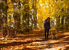 Deze tips tegen een herfstdip kende je nog niet (en werken heel goed!)