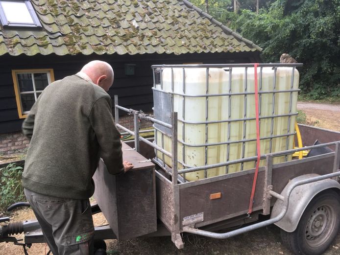 Boswachter Theo Putmans van het Brabants Landschap vult de kubus met een kuub water, zodat ze jonge aanplant van water kunnen voorzien.