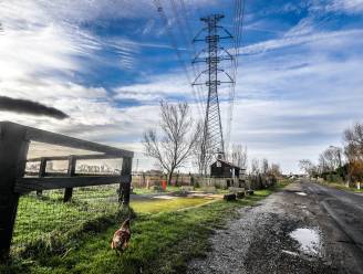 Drie gemeenten geven wél groen licht voor Ventilus, een vierde kan niet kiezen: “We zijn het al gewoon om onder hoogspanningskabels te leven”