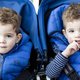 Tumult over genetische 'homotest' bij tweelingen