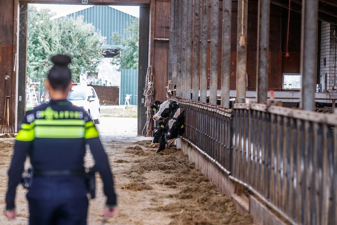 De overheid maakt zich zorgen over de kwetsbaarheid van de boeren voor drugscriminelen.