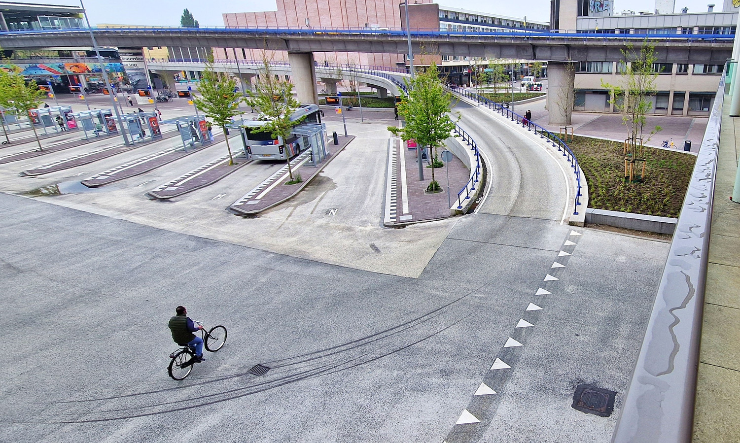 Levensgevaarlijk: busbaan Zuidplein gebruikt als ‘olifantenpaadje ...