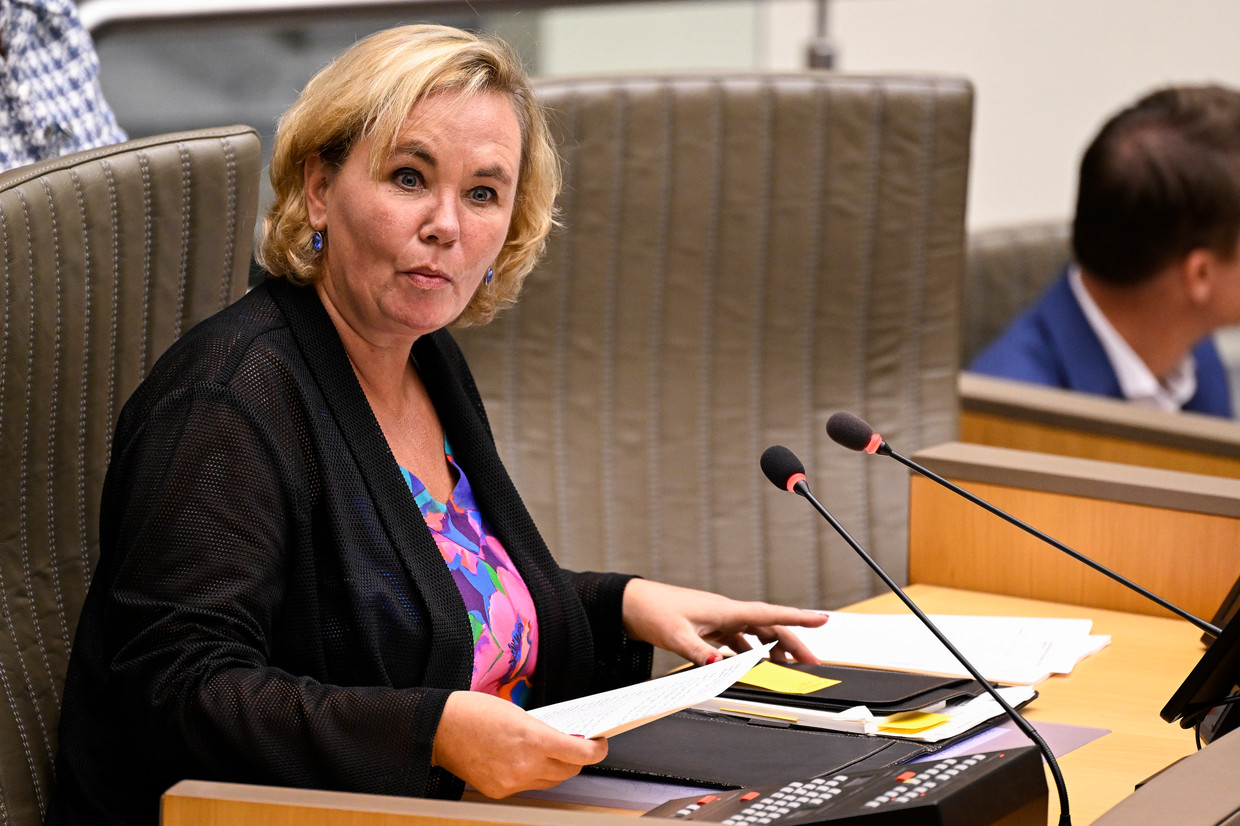 ‘Een premier heeft een veel zwaardere taak dan een parlementsvoorzitter. Pas de verloning dan aan de realiteit aan.’ (Foto: Vlaams Parlementsvoorzitter Liesbeth Homans.) Beeld BELGA