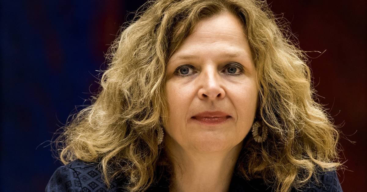 Edith Schippers vertrekt uit Eerste Kamer: 'Conclusie is dat zowel mijn werk, als de VVD beter verdienen'