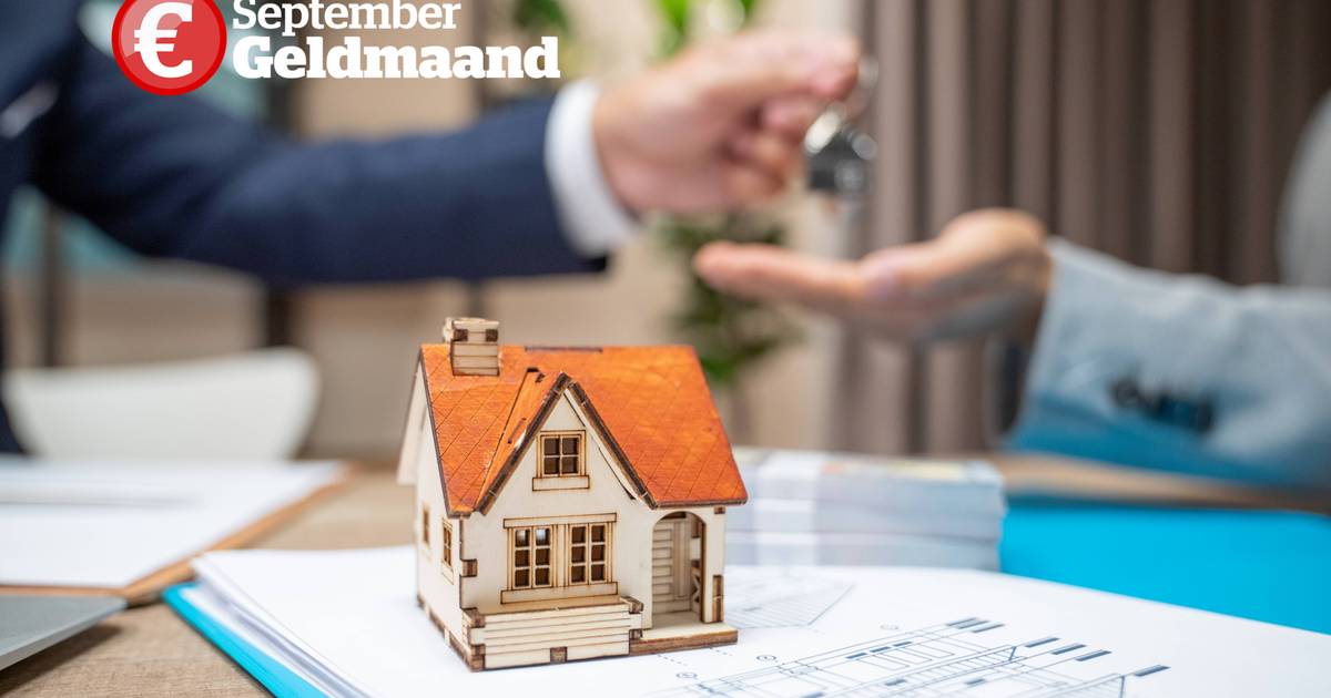 Qual è l’importo massimo che puoi prendere in prestito per comprare una casa?  È intelligente arrivare a questo estremo?  |  La mia guida
