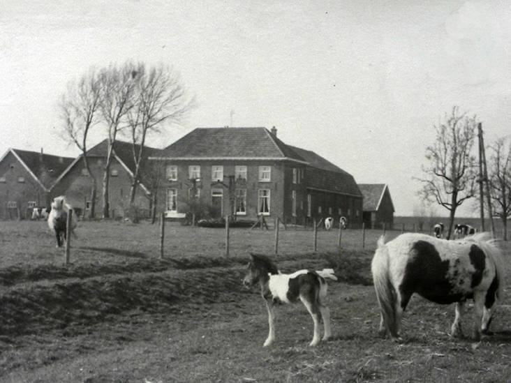 In de jacht op polsklokjes werd Huissenaar Dirk met een sabel onthoofd