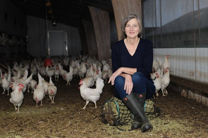 Pluimveehouder Gina van Elten uit Barneveld: ,,Boeren en consumenten zien de kippen veel liever buitenlopen.‘’