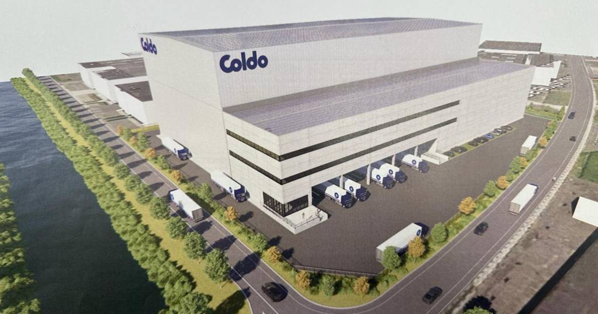 Coldo realiseert hoogbouwmagazijn op site Van der Vennet: “We zoeken ...