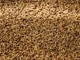 La prime pellets disponible à partir de ce 1er février