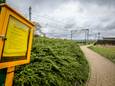 Er wordt een groene corridor aangelegd langs de spoorweg in Adinkerke