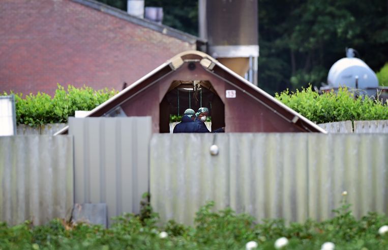 Een nertsenfokkerij in Deurne, geruimd vanwege besmettingen met het coronavirus. Beeld Marcel van den Bergh / de Volkskrant