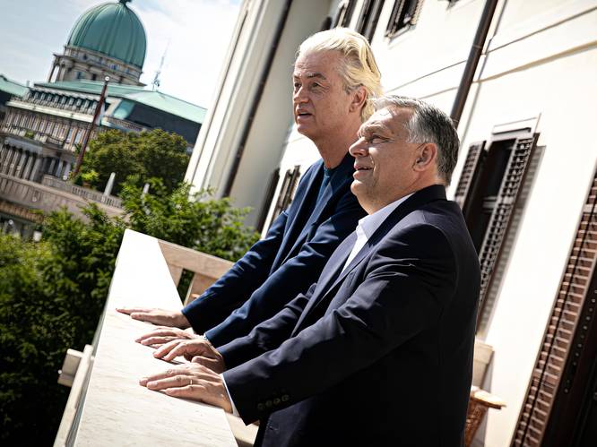 Andere onderhandelaars kijken mee als Wilders op podium stapt bij Orbán: wat betekent dit voor de formatie?