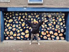 Nieuwe muurschildering in Papenstraat Delft: ‘Witte deuren nodigen uit tot graffiti, dit hopelijk niet’