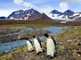 Vrees voor ecologische ramp: wetenschappers plannen missie naar ‘s werelds grootste ijsberg, die nu echt op ramkoers ligt met “pinguïneiland”