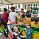 Hoe denkt de stedeling over de boeren? In Haarlem maken ze zich vooral zorgen om klimaat en milieu