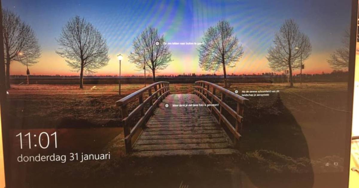 Bruggetje in Mijnsheerenland steelt de show als ‘screensaver’ bij Microsoft