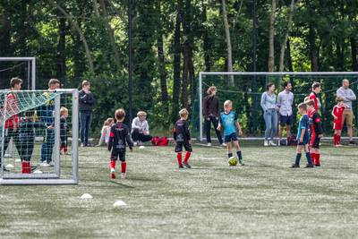 Geen 20-0 meer, verbod op koppen en indeling op geboortemaand: hoe Voetbal Vlaanderen het jeugdvoetbal “revolutionair” wil hervormen