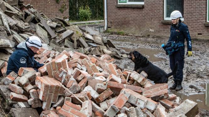 Hond én baas leggen in Salland basis om mensenleven te redden: ‘Hulp is cruciaal zag je laatst nog in Turkije’ 