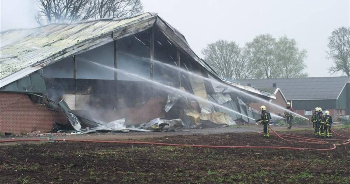 2000 varkens dood bij brand in Langeveen