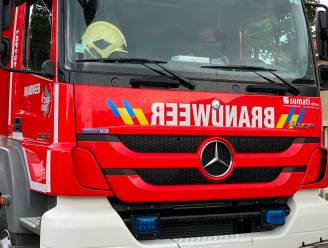 Man (69) duwt brandweerman omver na discussie over... loshangende tak