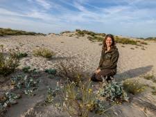 Westland heeft een Nationaal Park naast de deur: ‘De natuur heeft hier écht pareltjes’